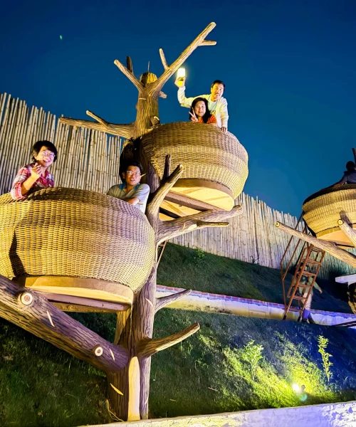 Aquakuno Bird Nest